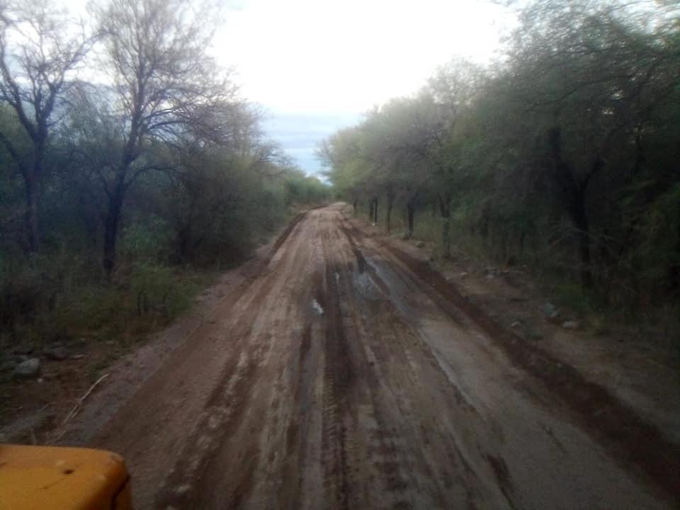 133644109_3682784521764726_5856507725654042383_n