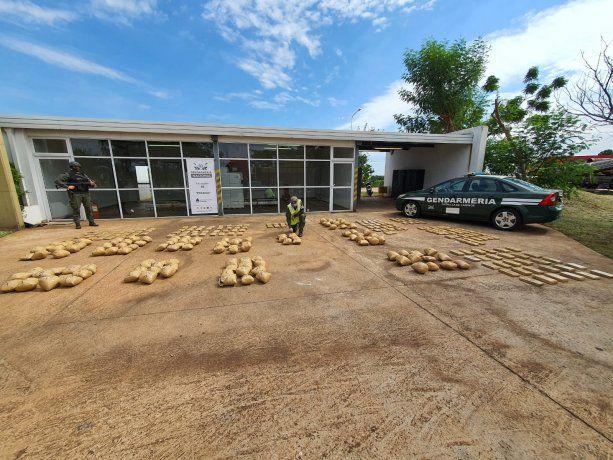 yerba-voladora-1jpeg