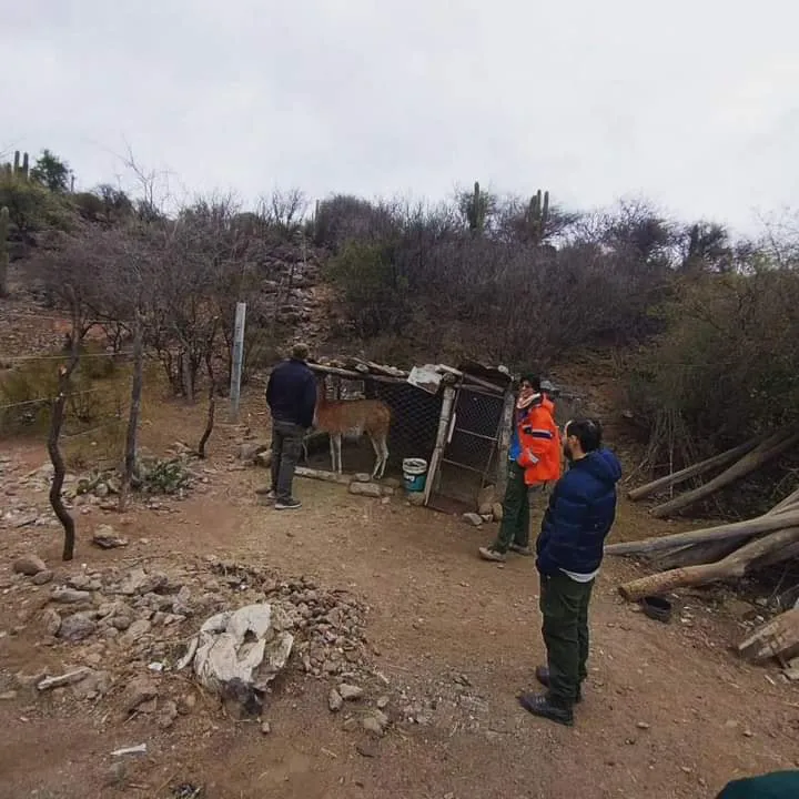 376895374_704082035100310_8387614846611165818_n