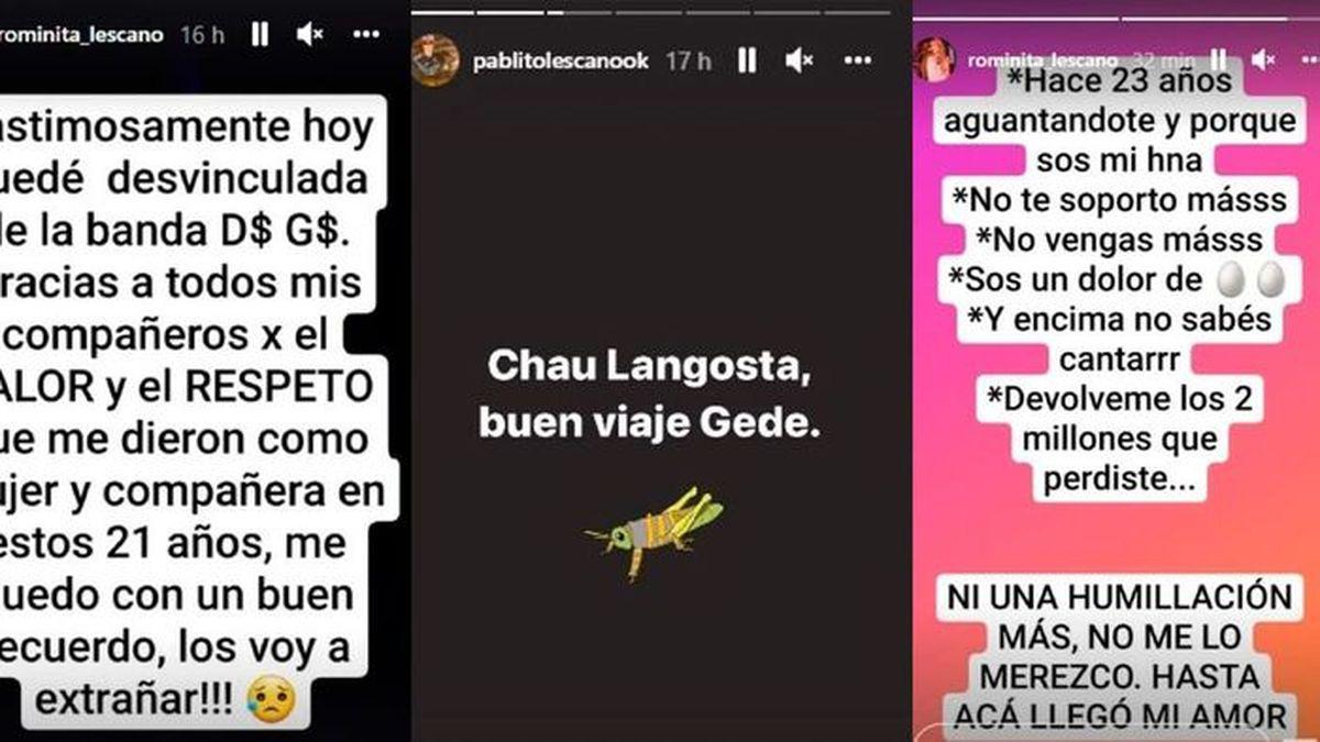 damas-gratis-peleajpeg