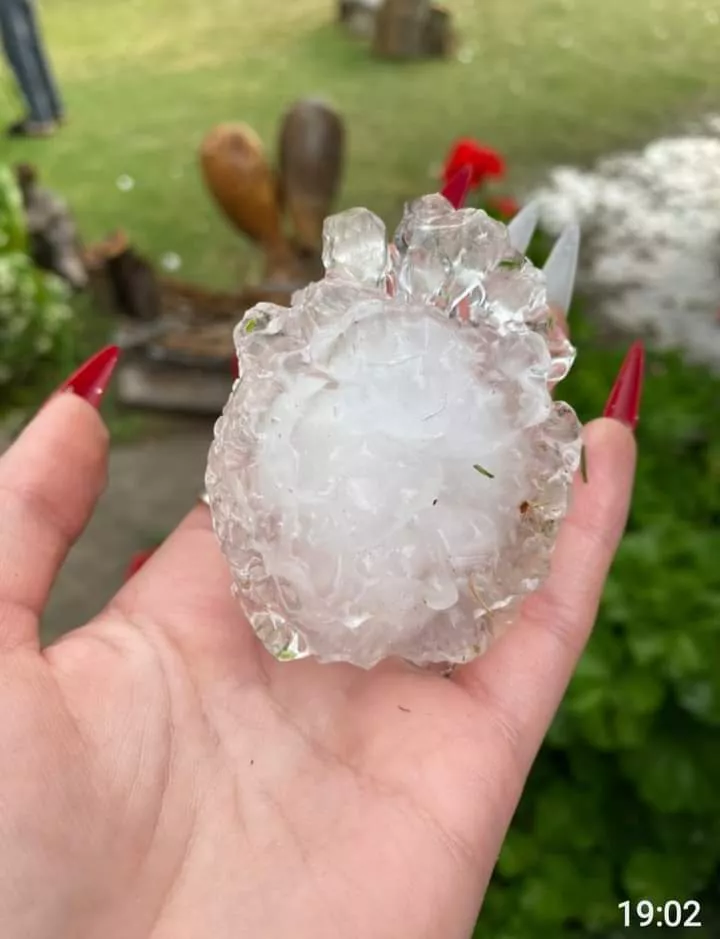 FB_IMG_1668291853157