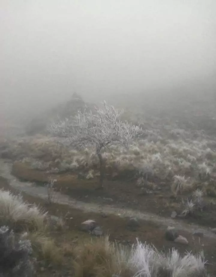 FB_IMG_1656104704335