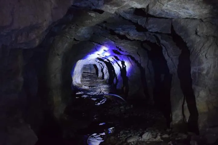 FB_IMG_1683574784926