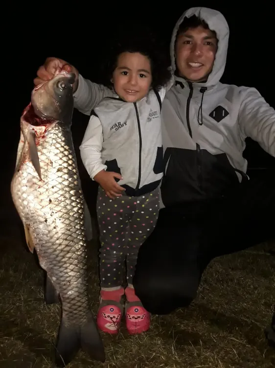 fcb776a0-1258-4d61-bc2a-d2aa49681346