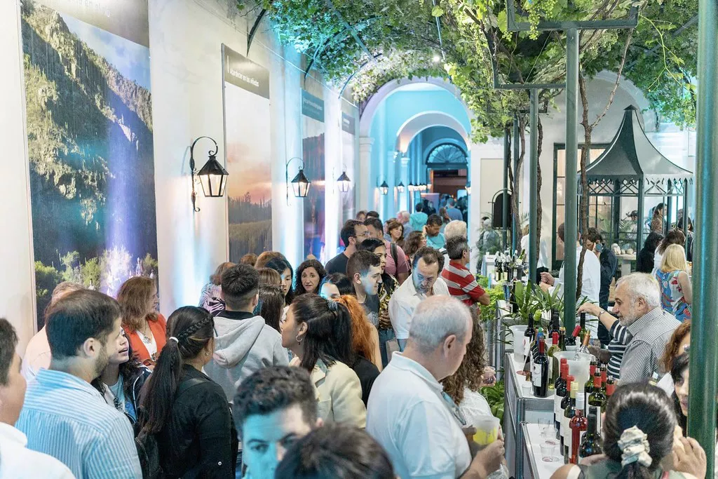 52538365717_814fb296d3_b