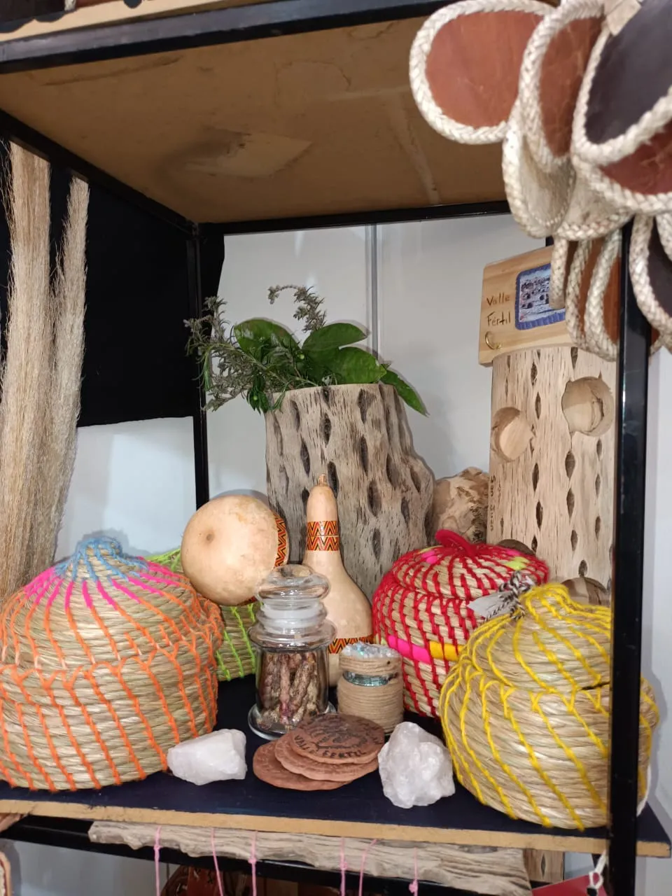 374917285_700428045445488_7541301400691907158_n