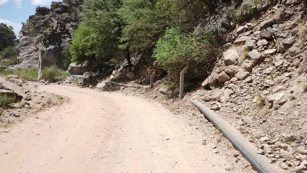 8e51bcec-e306-4dd7-bccd-cf8bf03c0fb2-jpg.