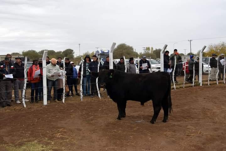 FB_IMG_1653945688971