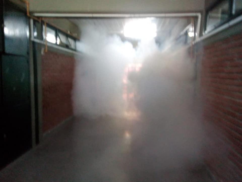 90388904_2904110396298813_5484211102805917696_n