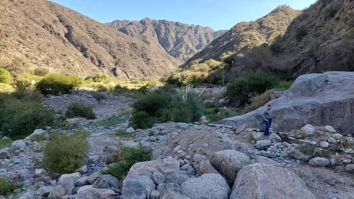 FB_IMG_1657034711261