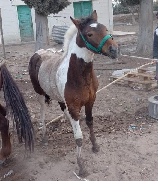 multimedia.normal.845da3707009dafb.37333361636235312d363232342d343634652d393661362d35313230373137635f6e6f726d616c2e6a7067