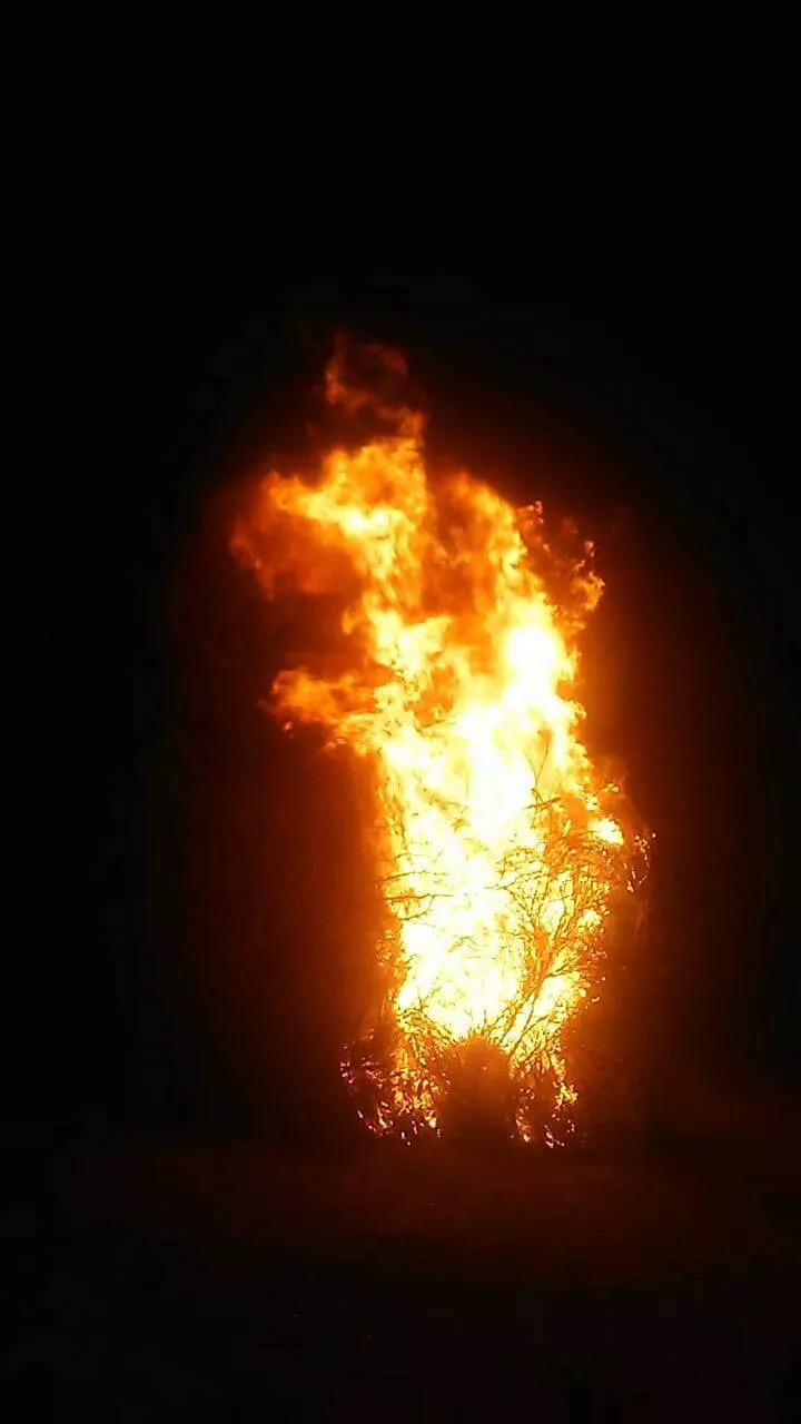 FB_IMG_1656176271021