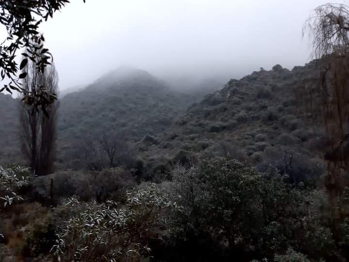 FB_IMG_1623797143140