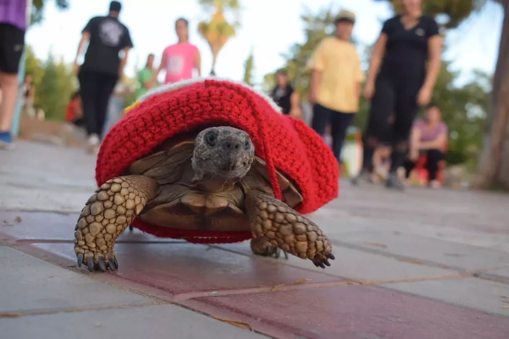 344733011_220816283908366_6921320805424788562_n