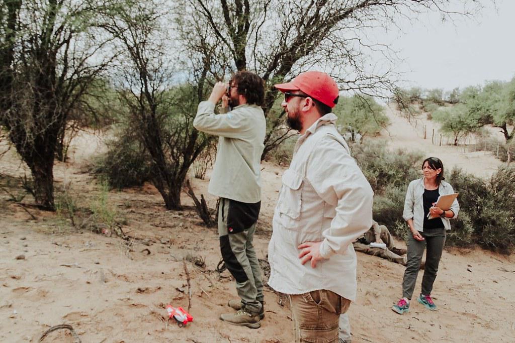 52045995150_77bb09f99f_b