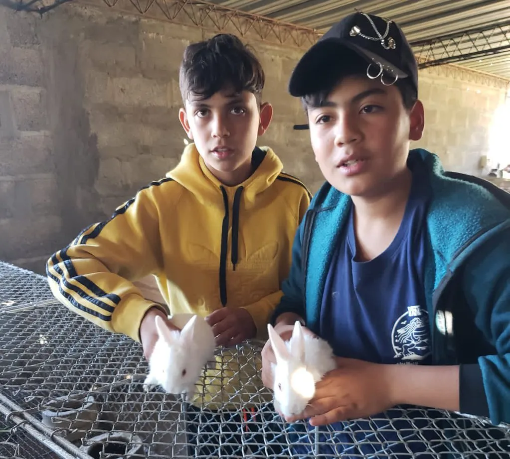 53172155315_1a83c41862_b