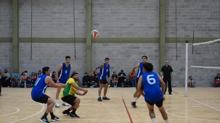 FB_IMG_1699916715194