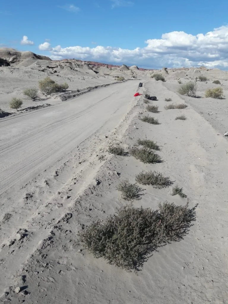 f768x1-345614_345741_5050