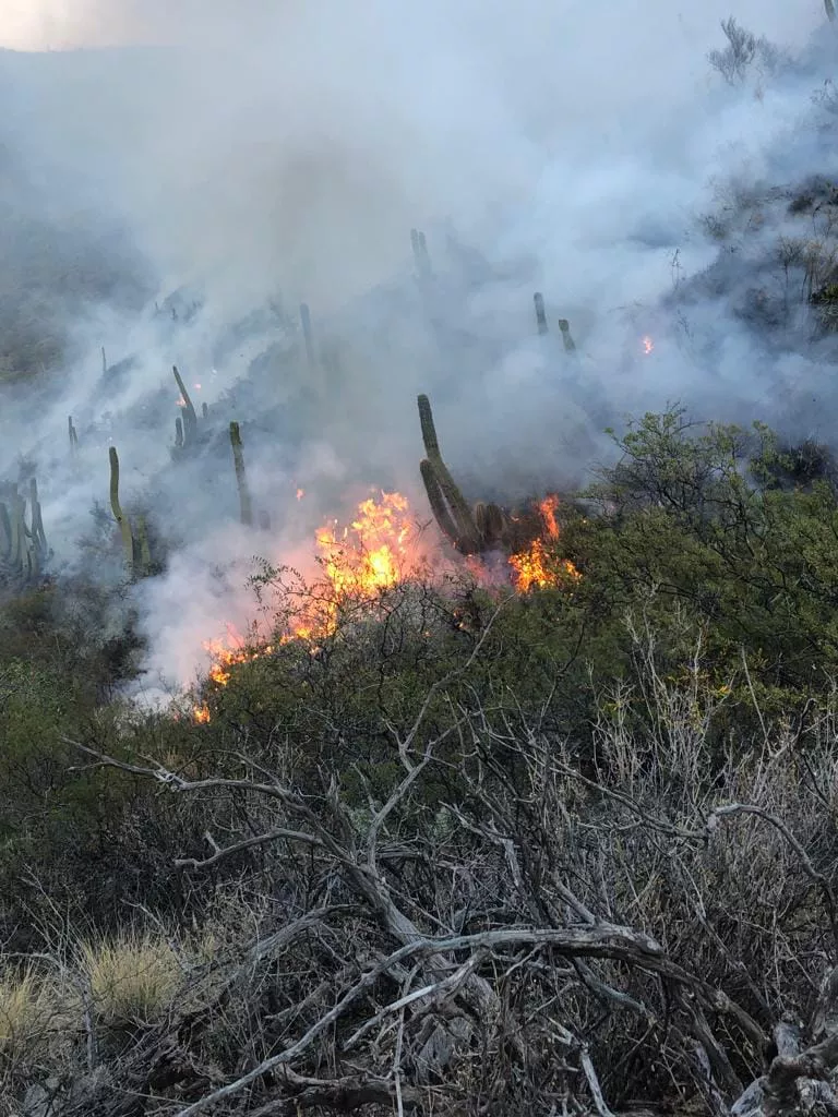 315860974_5417334808388371_4364181473968817414_n