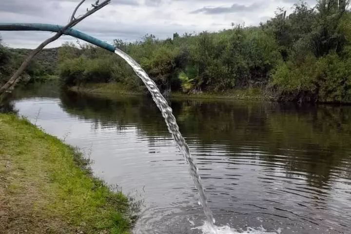 FB_IMG_1680730548478