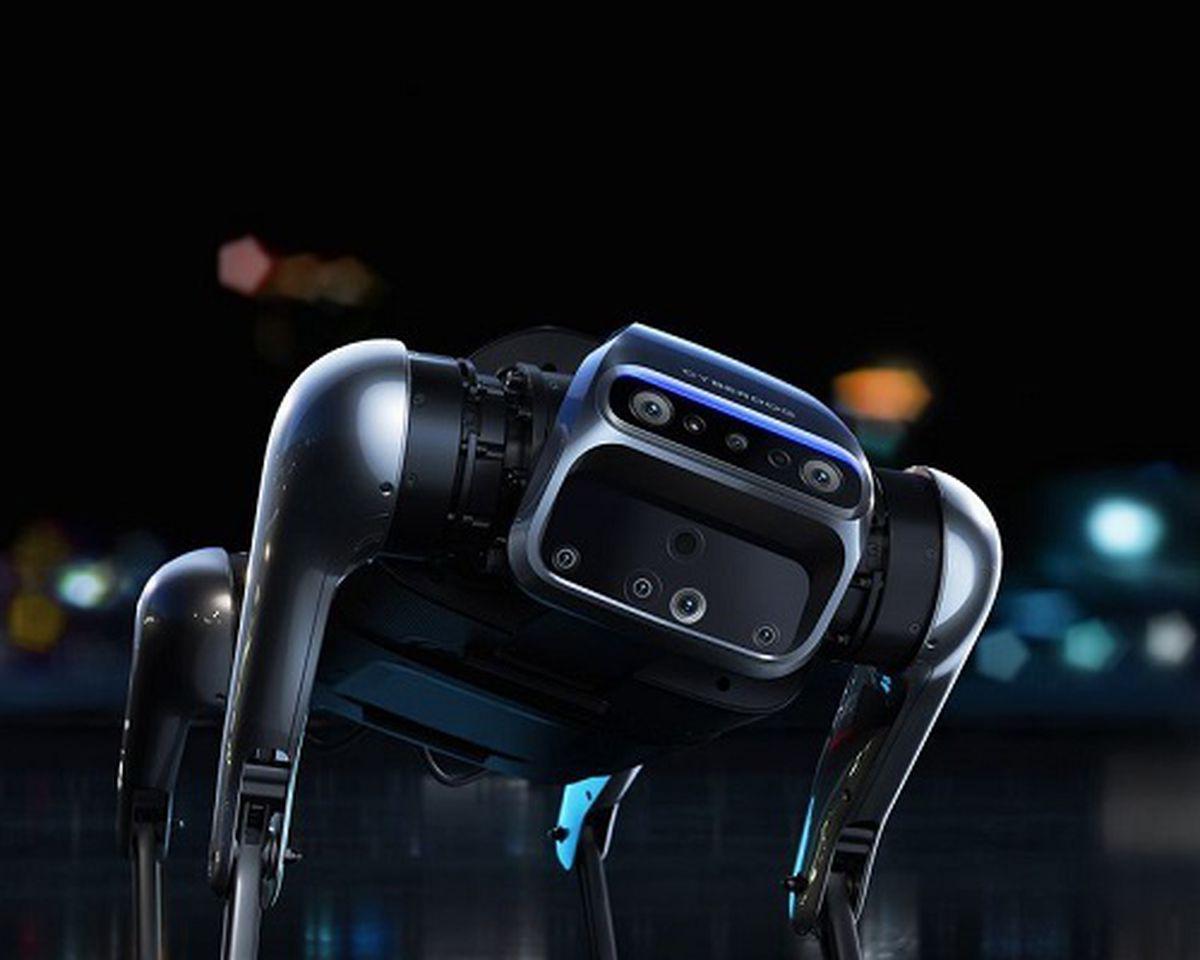 61133d8ce9ff71760d597febjpg