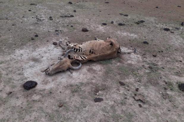 1331ca5fdc1673aa8520bbf23f19d4e0_XL