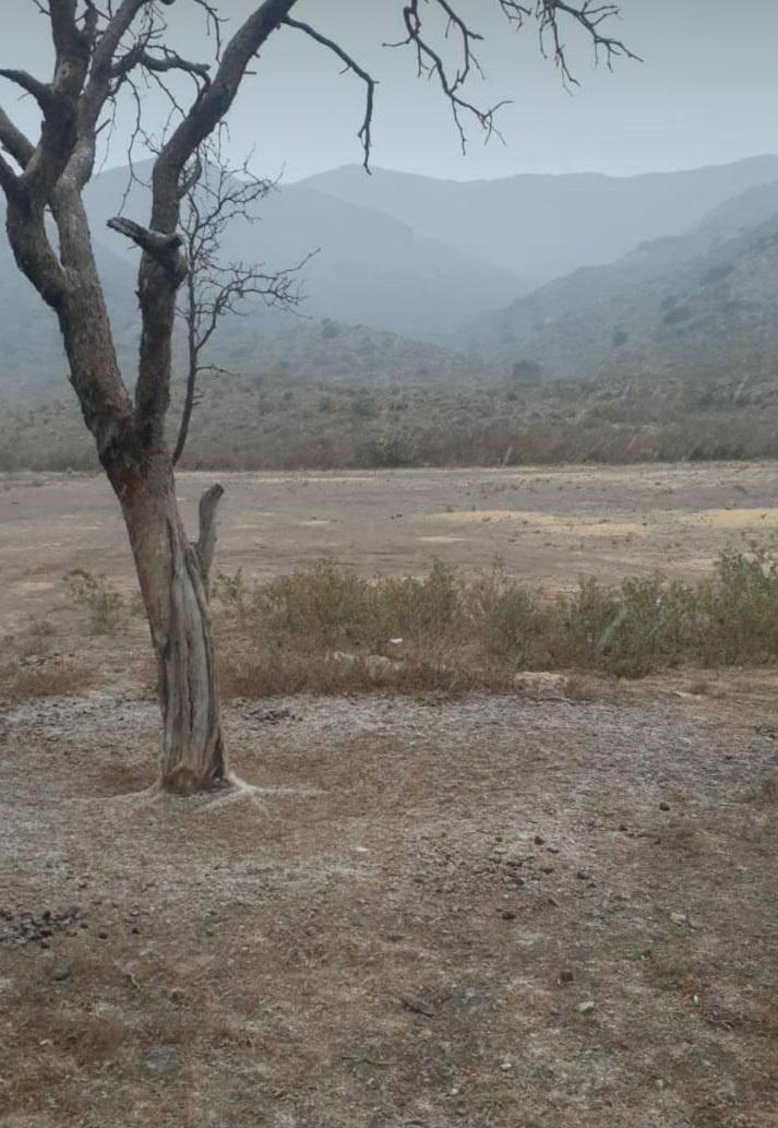 201763743_498709658031515_6359648069841109936_n