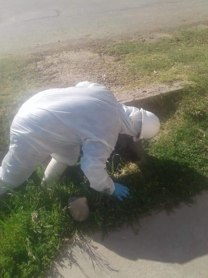 FB_IMG_1601315770265