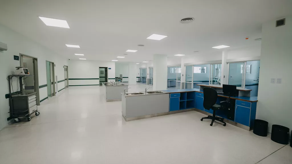 52573892965_66566aeaf3_b