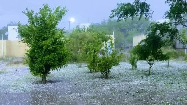 f608x342-276297_306020_29