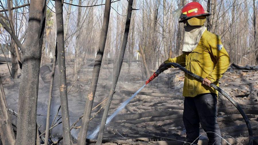 611ea1a1c8814.08.2021 foto ruben paratore 565_900