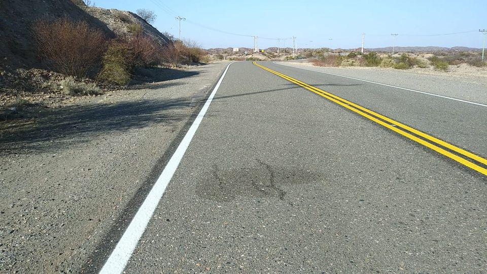 119060740_3372671009442747_4776310031746789288_o