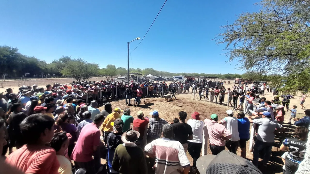 6f4a6219-e5f5-42bf-9cec-45af024761a6