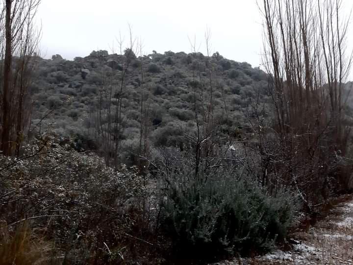 FB_IMG_1623797146261