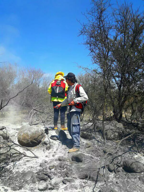 311668930_111625771727506_7637250709807651337_n