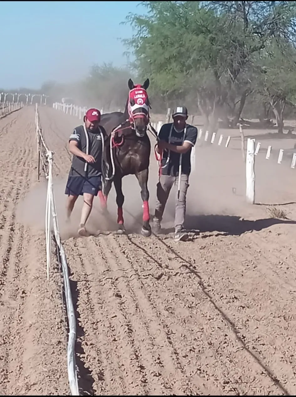 378830528_1481084949099490_8018460706828648053_n