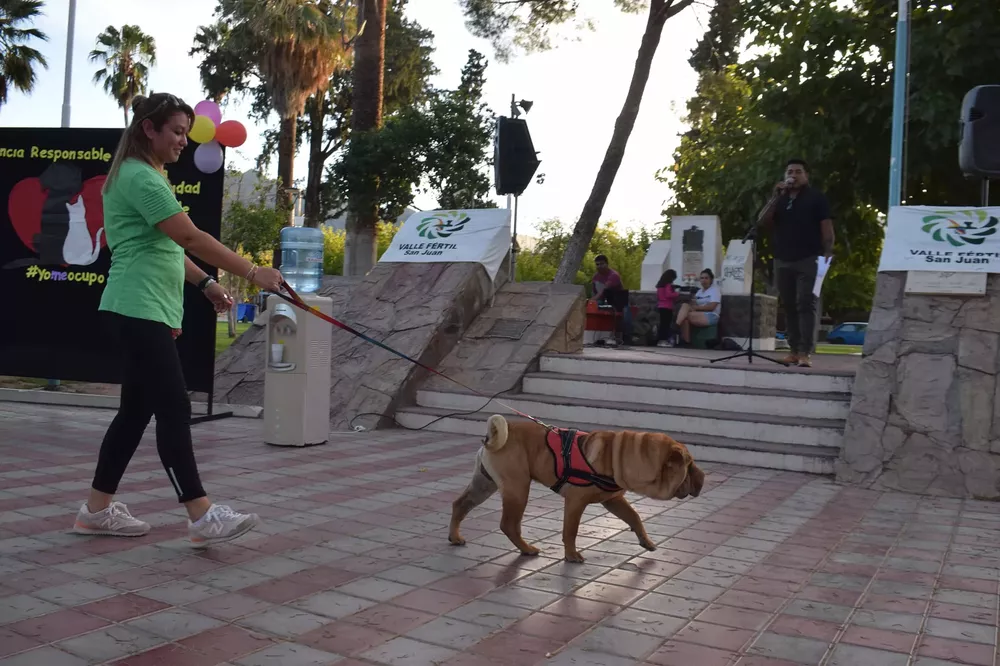 344414357_694202782707959_3387548458577042416_n