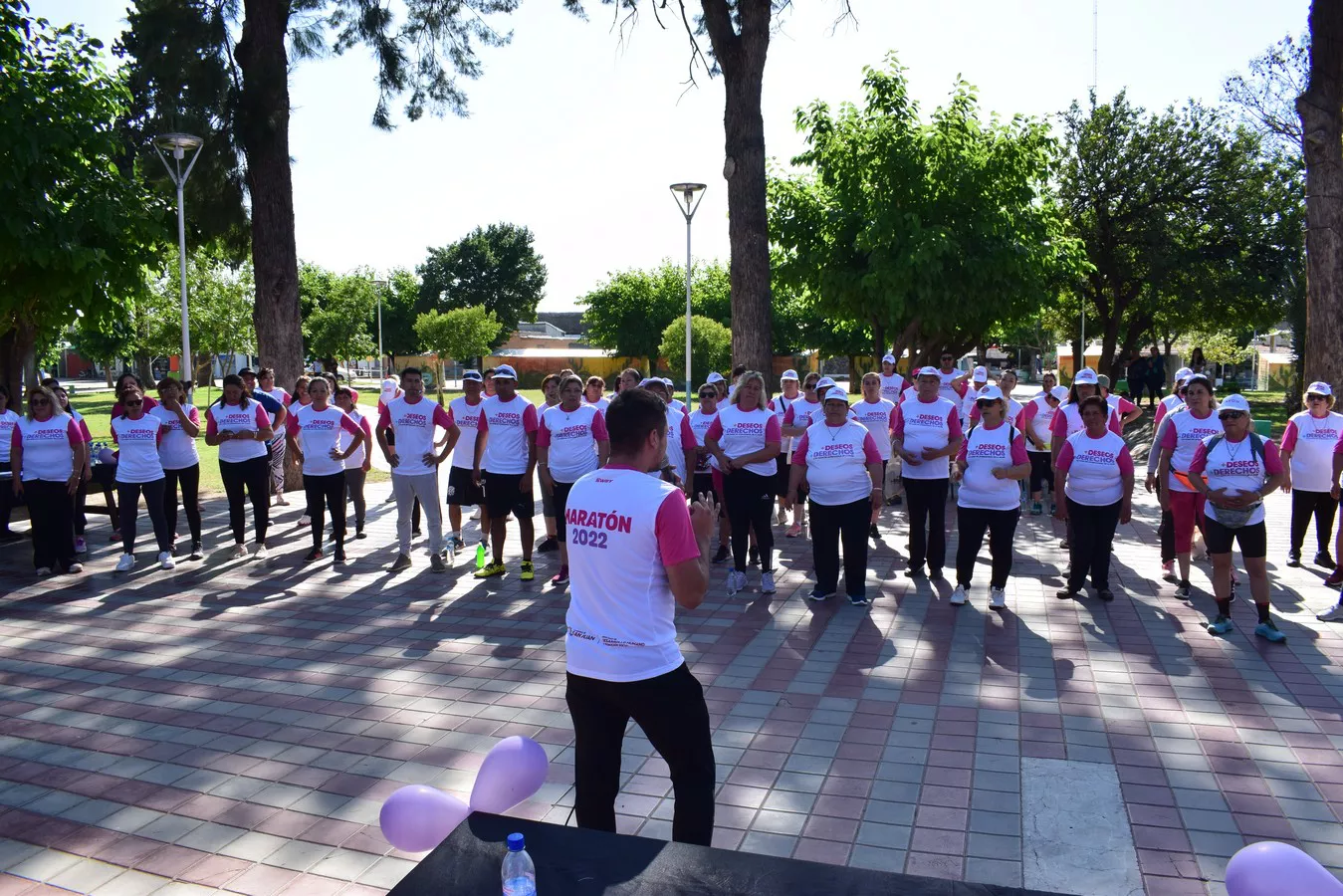 315989911_513358957485732_6635045090470988467_n