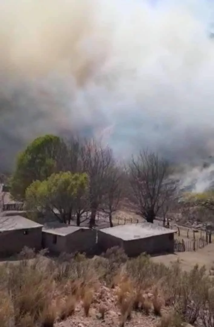 FB_IMG_1663295575454