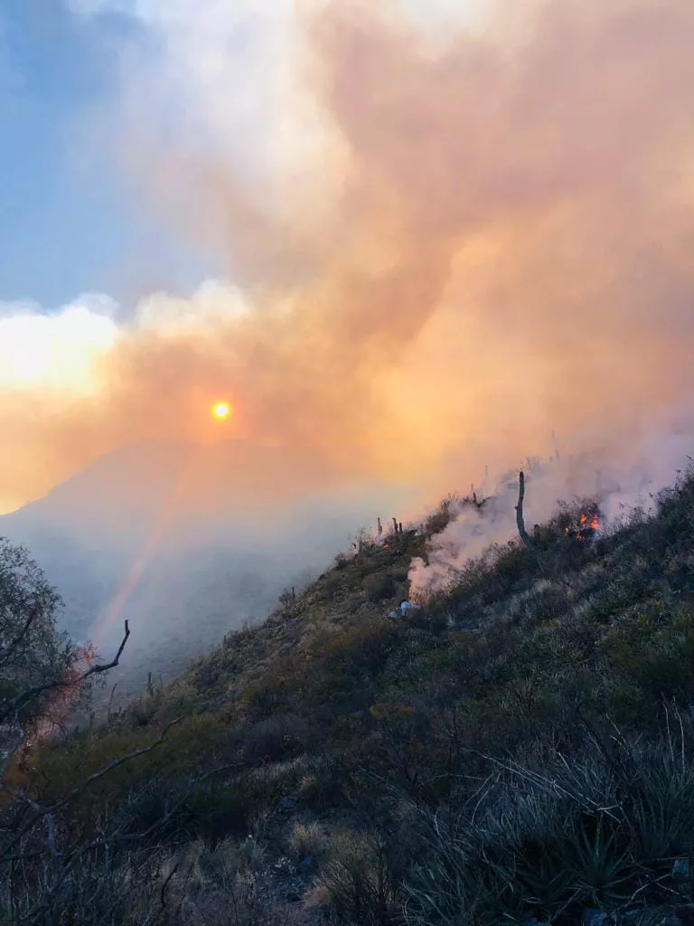 315989888_5417329935055525_5522394191845496612_n