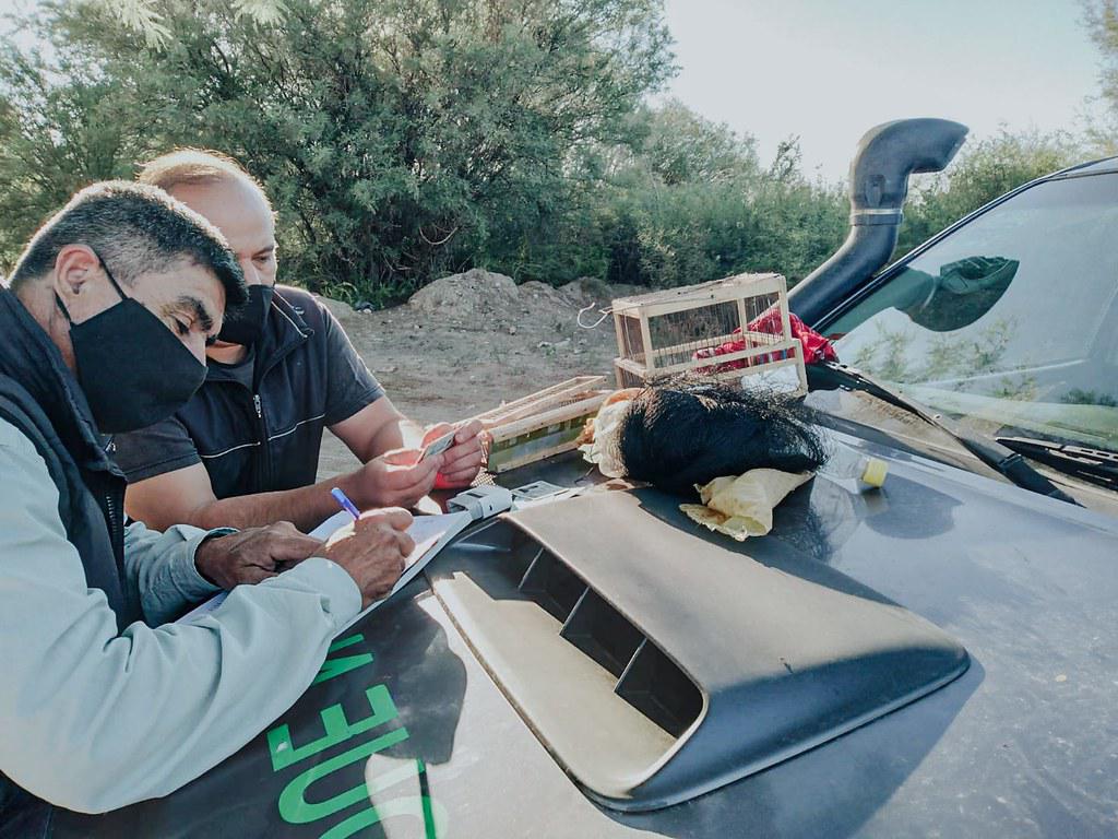 51938014661_c506109f65_b