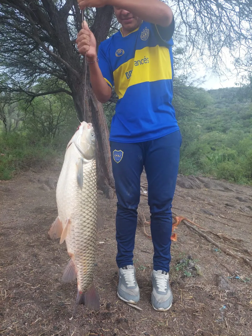 d25678b5-9d24-4835-8907-de5552f369d1