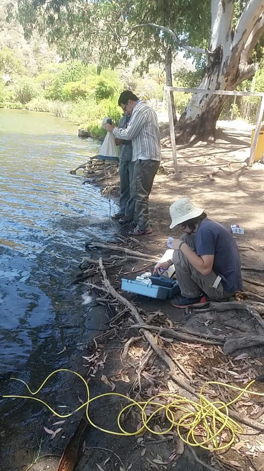 132423501_3668396833203495_6267612744473867701_n