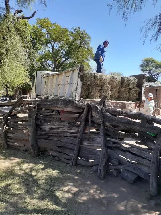 324397229_736817394452560_622621389691641131_n