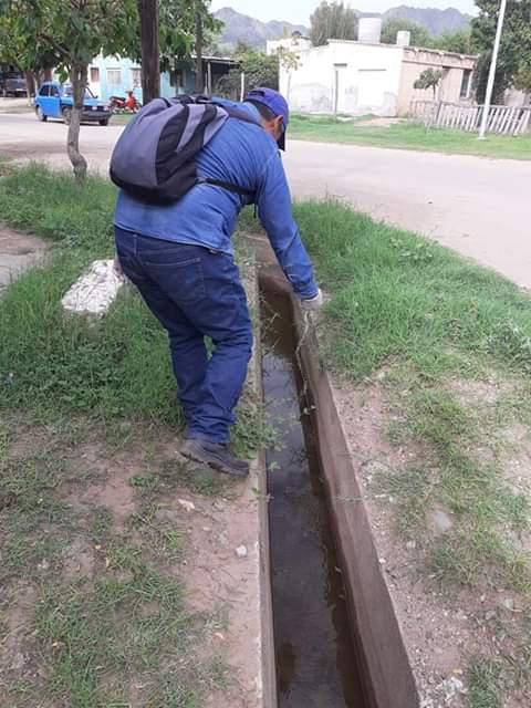 FB_IMG_1584764325214