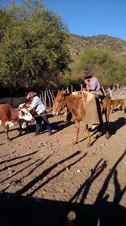 11148655_1599012320338965_1053530855381959582_o