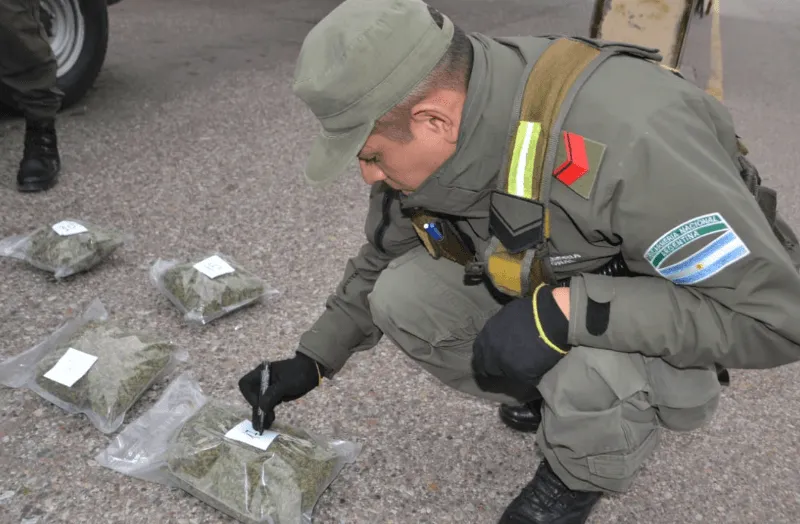 image_5_crop1681727834175.png_130315884