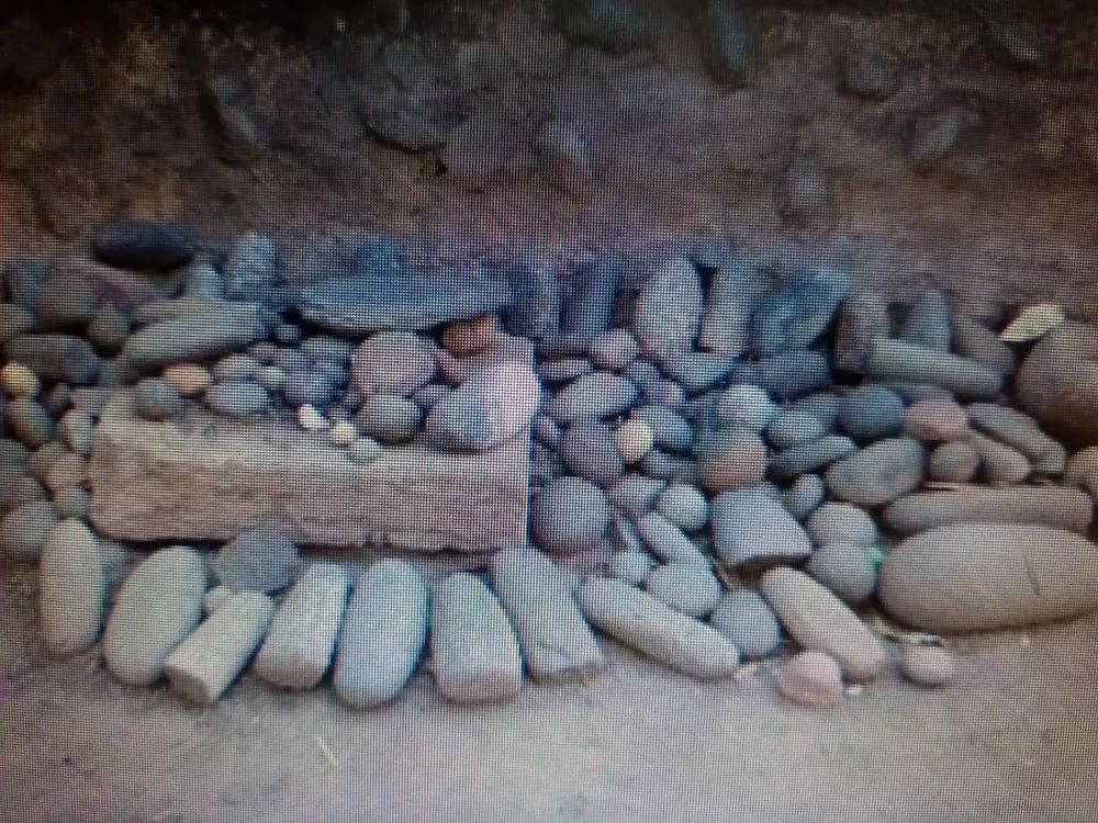 339565241_928957128532365_4233078476695228500_n