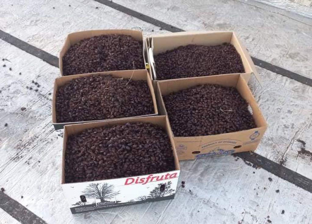 YLZQFYUABFHA3CZHIIB2KE6Z4E