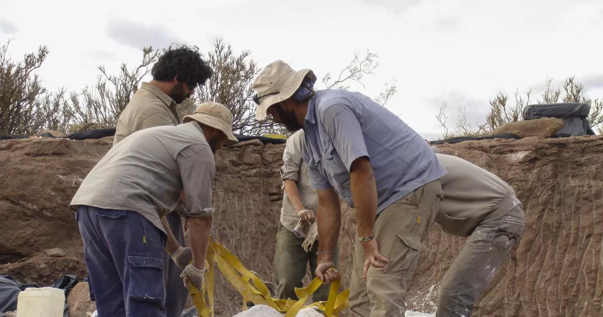 vista-de-las-excavaciones-en-la-patagonia-argentina-donde-se-encontraron-los-restos-del-meraxe-gigas-una-nueva-especie-de-dinosaurio